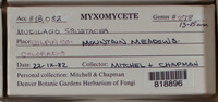 Image Associated With the Occurence